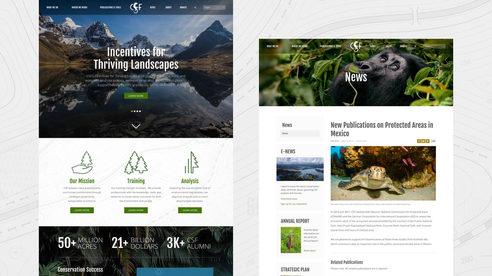Conservation Strategy Fund interior page design