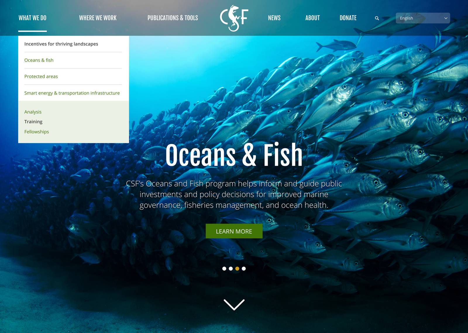 Conservation Strategy Fund navigation mega-menu design