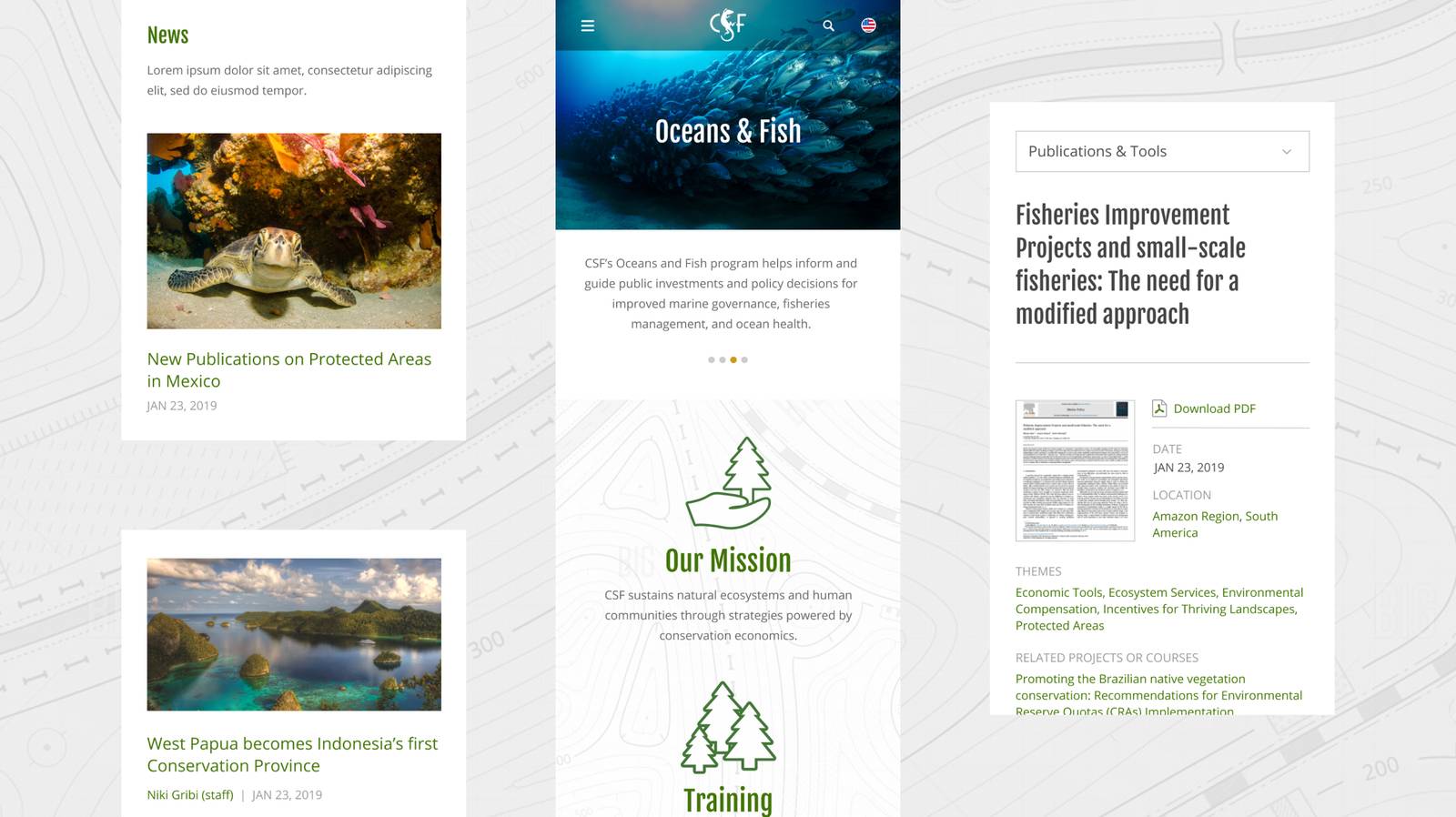 Conservation Strategy Fund mobile design