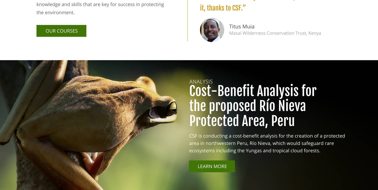 Conservation Strategy Fund homepage design, analysis section and testimonial