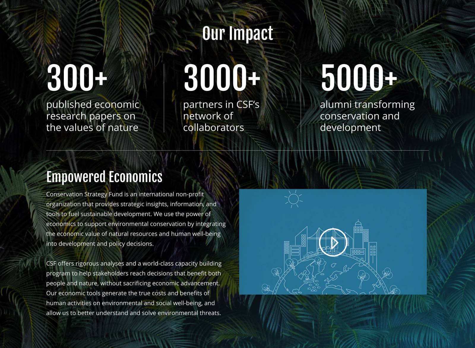 Conservation Strategy Fund homepage design, impact statistics section