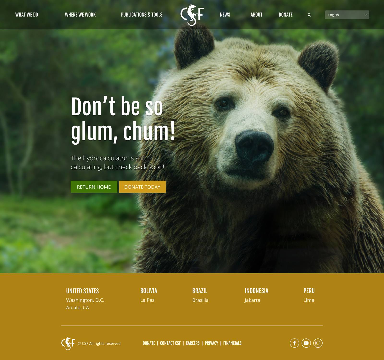 Conservation Strategy Fund coming-soon placeholder page design