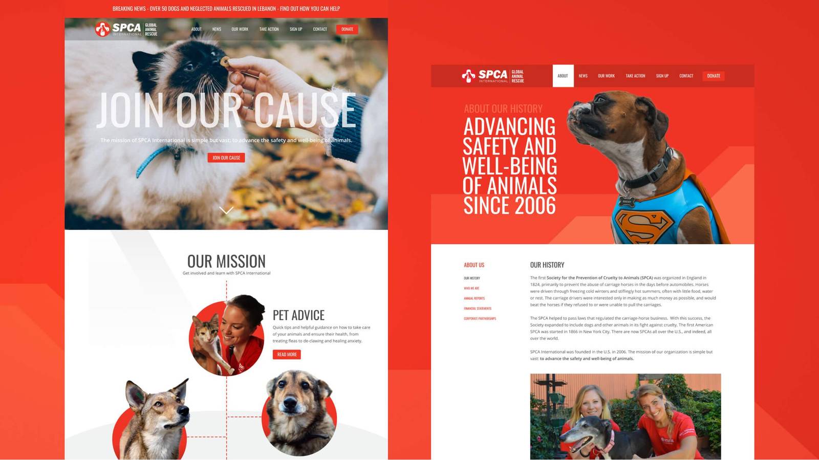 SPCA International homepage and about/history page design