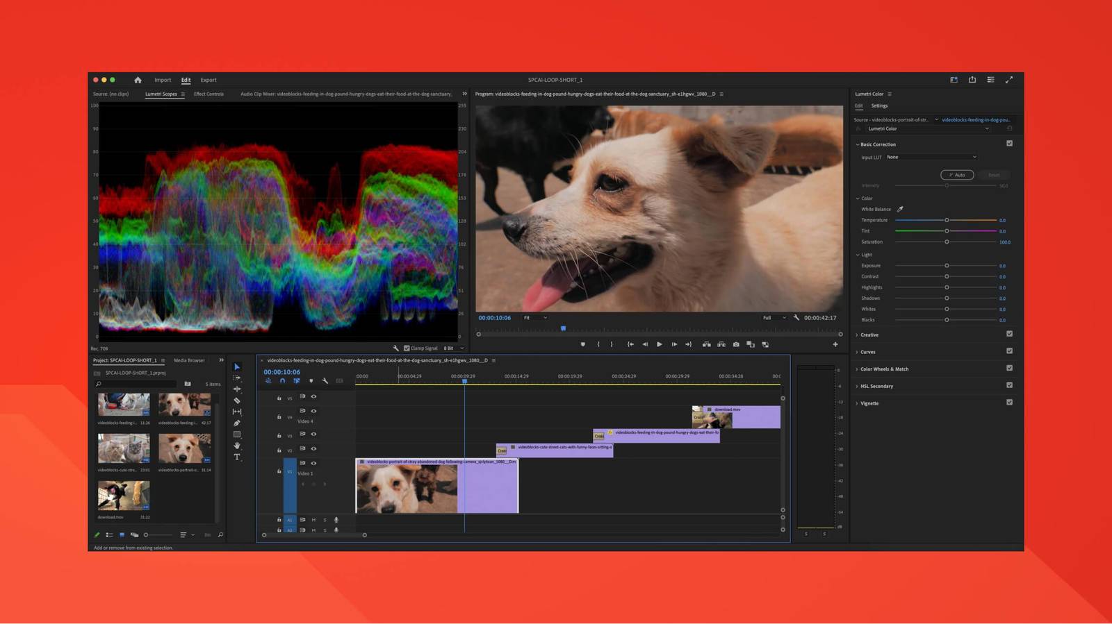 Video editing timeline for the raw rescue footage used in the homepage hero video