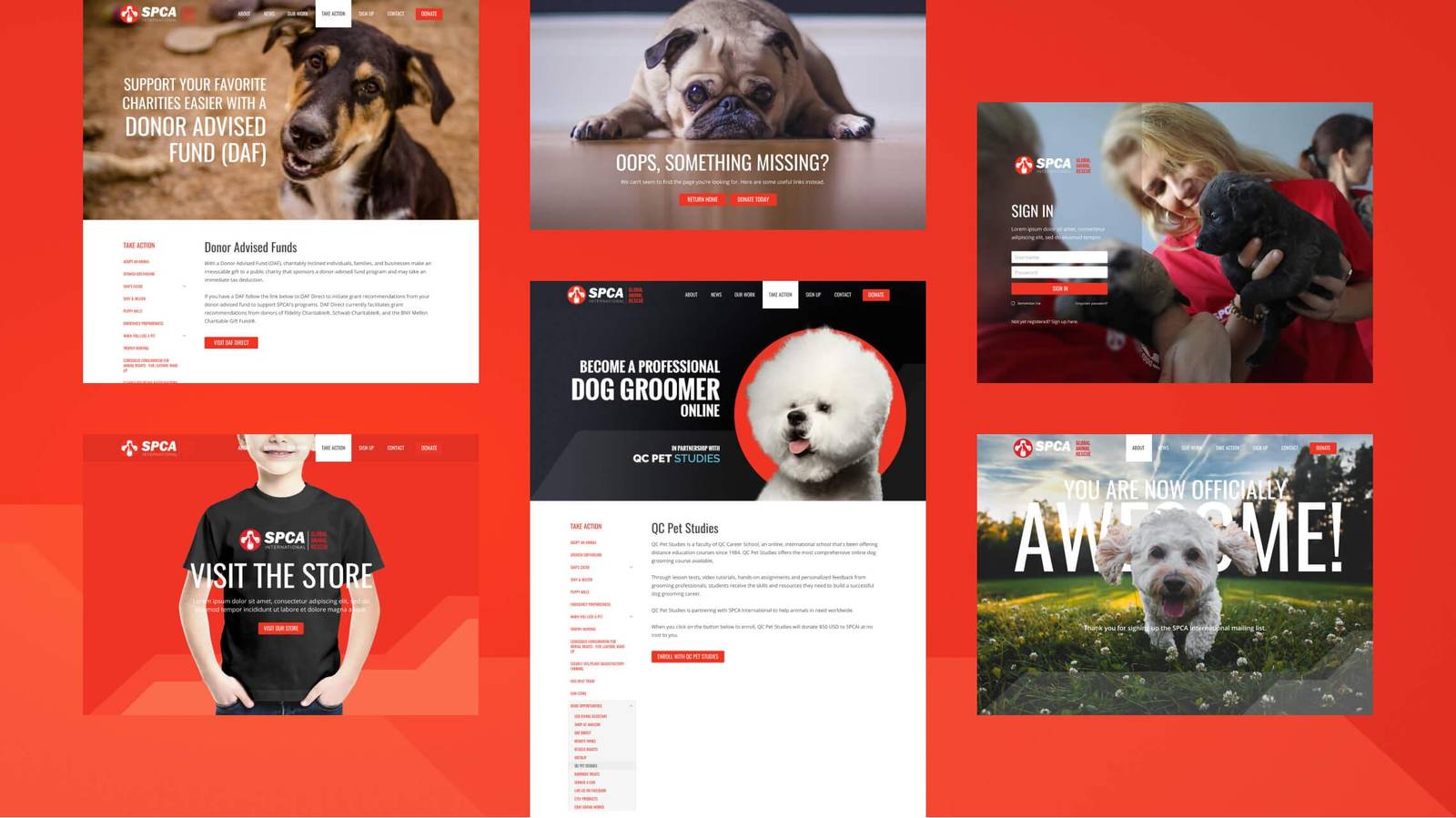 SPCA International interior pages: donor advised funds, 404, sign-in, store partnerships and confirmation screens