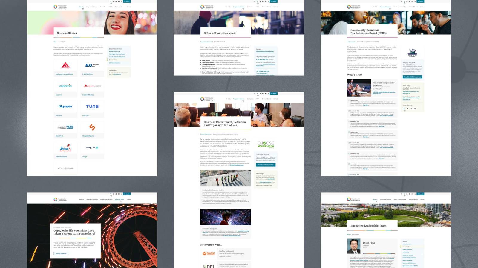 Washington State Commerce programme and division page designs